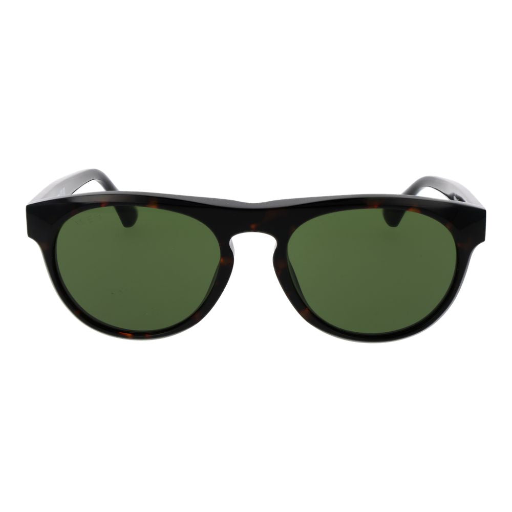 Web Brown  Sunglasses
